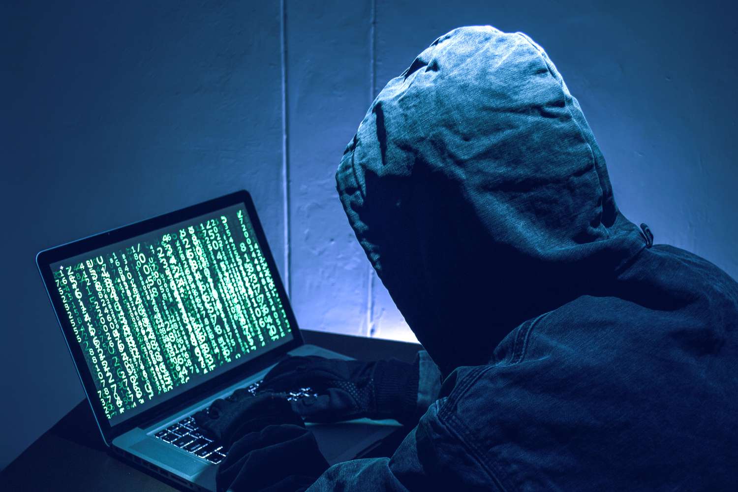Cyber Crime