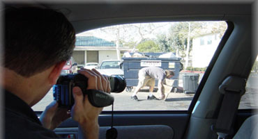 Surveillance Activity Check Services