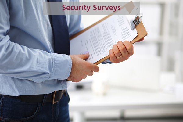 Security Survey Services
